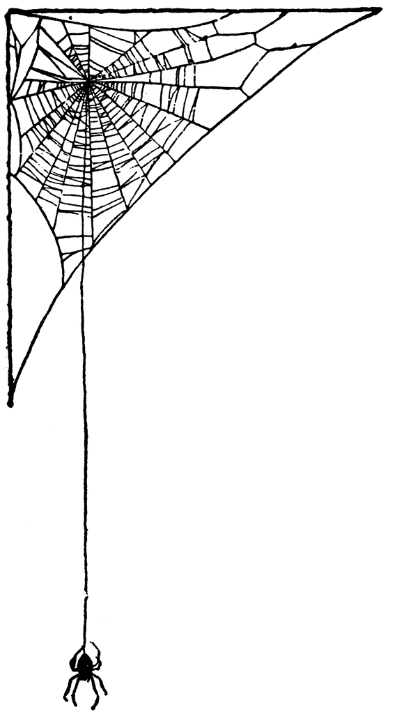 Spider Web Clipart