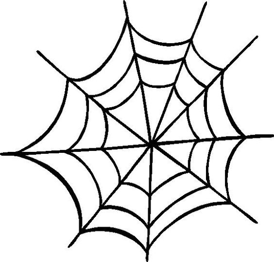 Spider web the world clipart