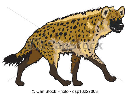 ... spotted hyena - spotted hyena,africa animal,side view... ...