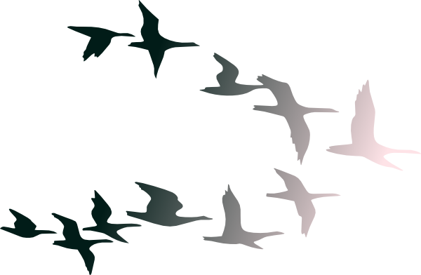Drawing Of Birds Flying .