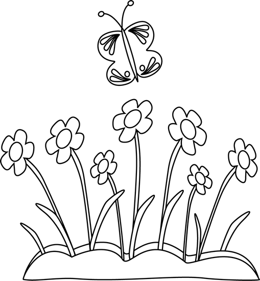 Black and White Spring Flower
