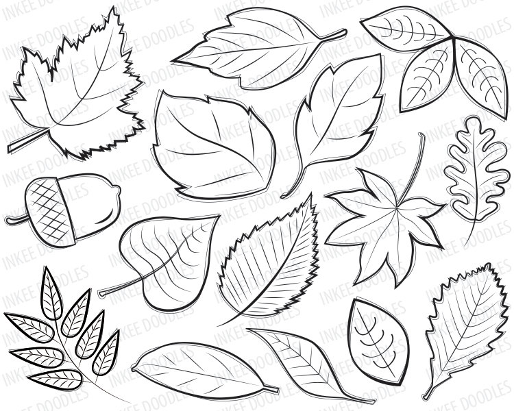 Spring Flowers Floral Clipart Cute Doodles Mothersinkeedoodles. Fall Black  Clipart Free Clip Art Images. Black And White Autumn Leaves Nature Clipart.  «