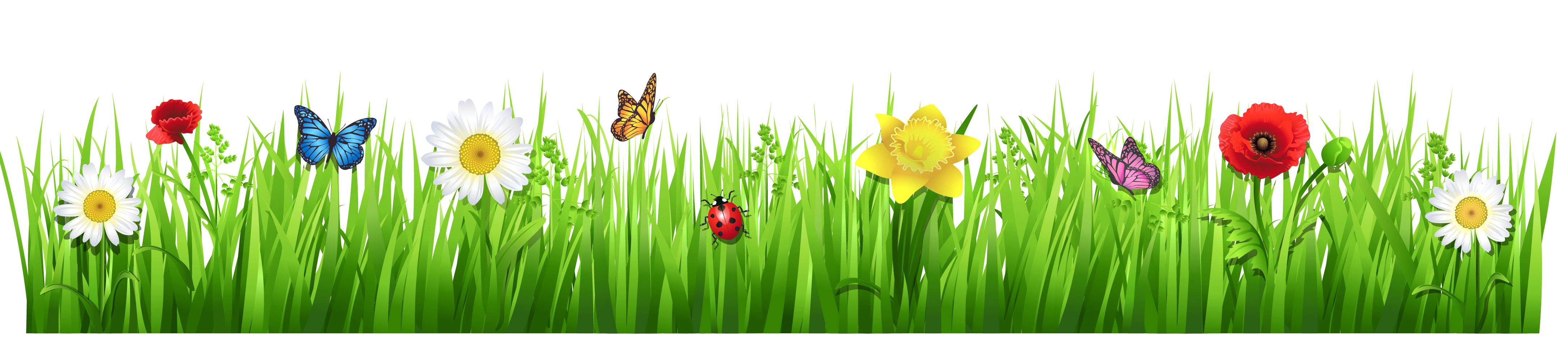 Clipart spring flowers free -