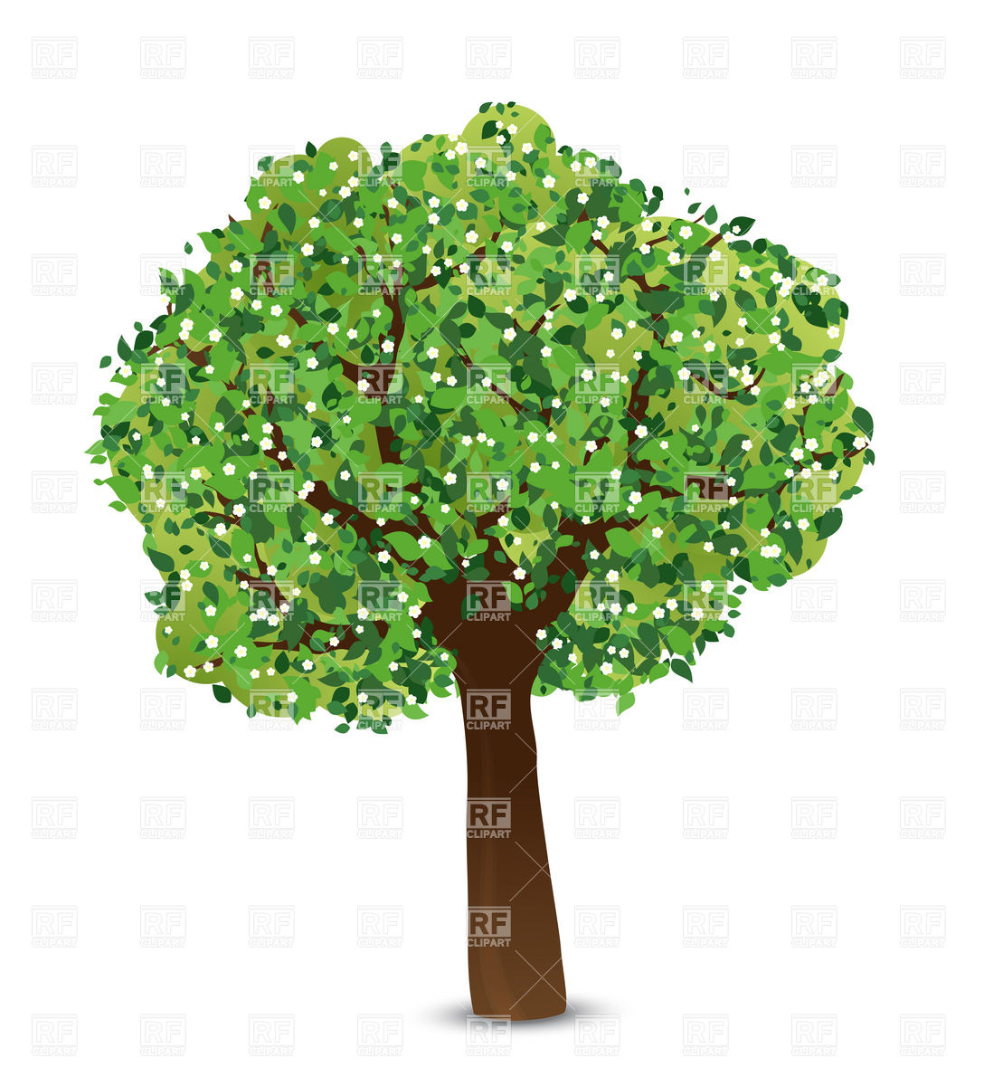 Spring Tree With Green Leaves - Spring Tree Clipart