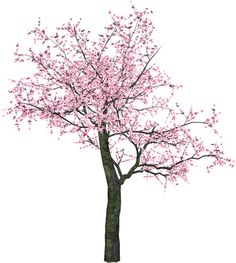 Spring Trees and Flowers - Spring Tree Clipart