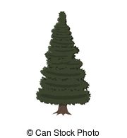 ... spruce, evergreen tree, vector illustration in flat style