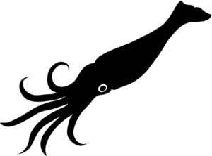 Squid Clip Art - Squid Clip Art