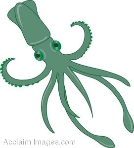 Squid Clipart - Squid Clip Art
