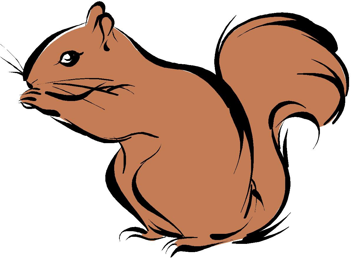 Squirrel Clipart - Clipart Squirrel