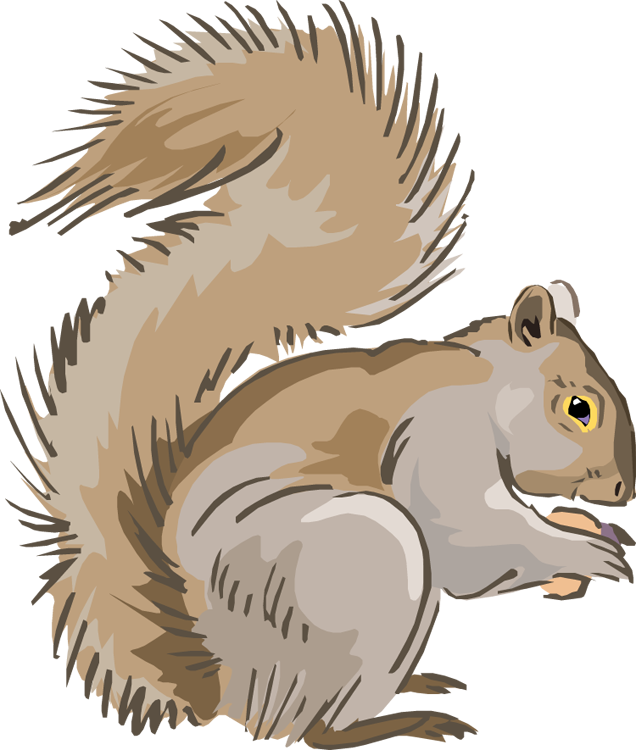 Squirrel Clipart Hungry Squir - Clip Art Squirrel