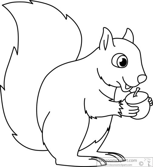 Squirrel Holding Acorn Nut Bl - Clip Art Squirrel