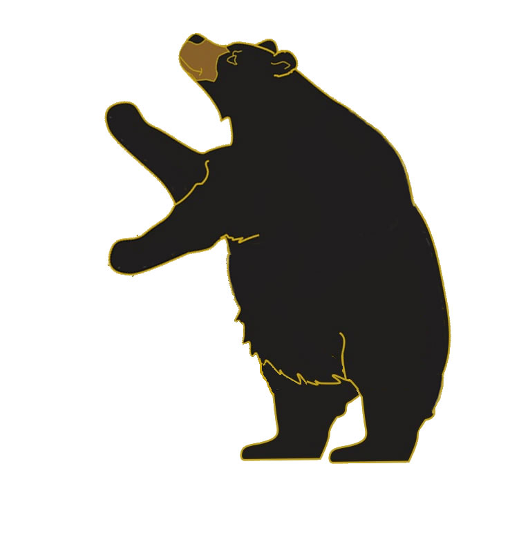 standing black bear drawing - Black Bear Clipart
