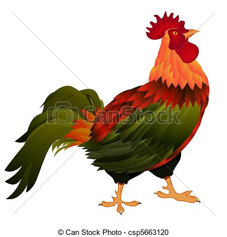 ... standing rooster - Illustration of a standing rooster over... ...