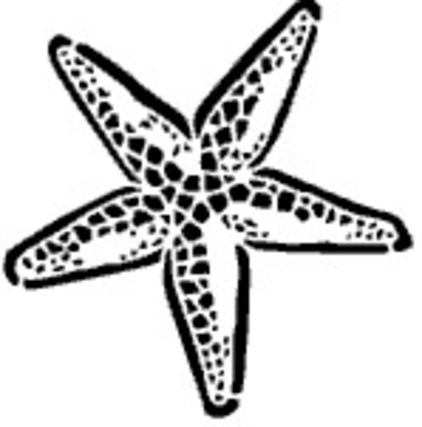 Starfish Clip Art Black And ..