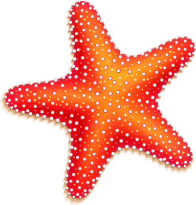 Starfish clipart 3