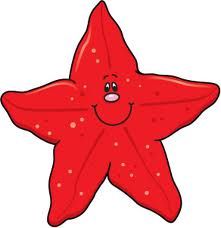 To starfish orange red clip .
