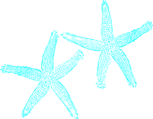 ... Blue Starfish clip art - 
