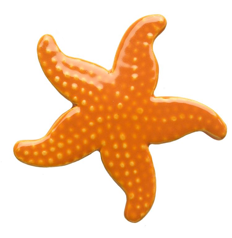 ... Starfish Clipart - clipartall ...