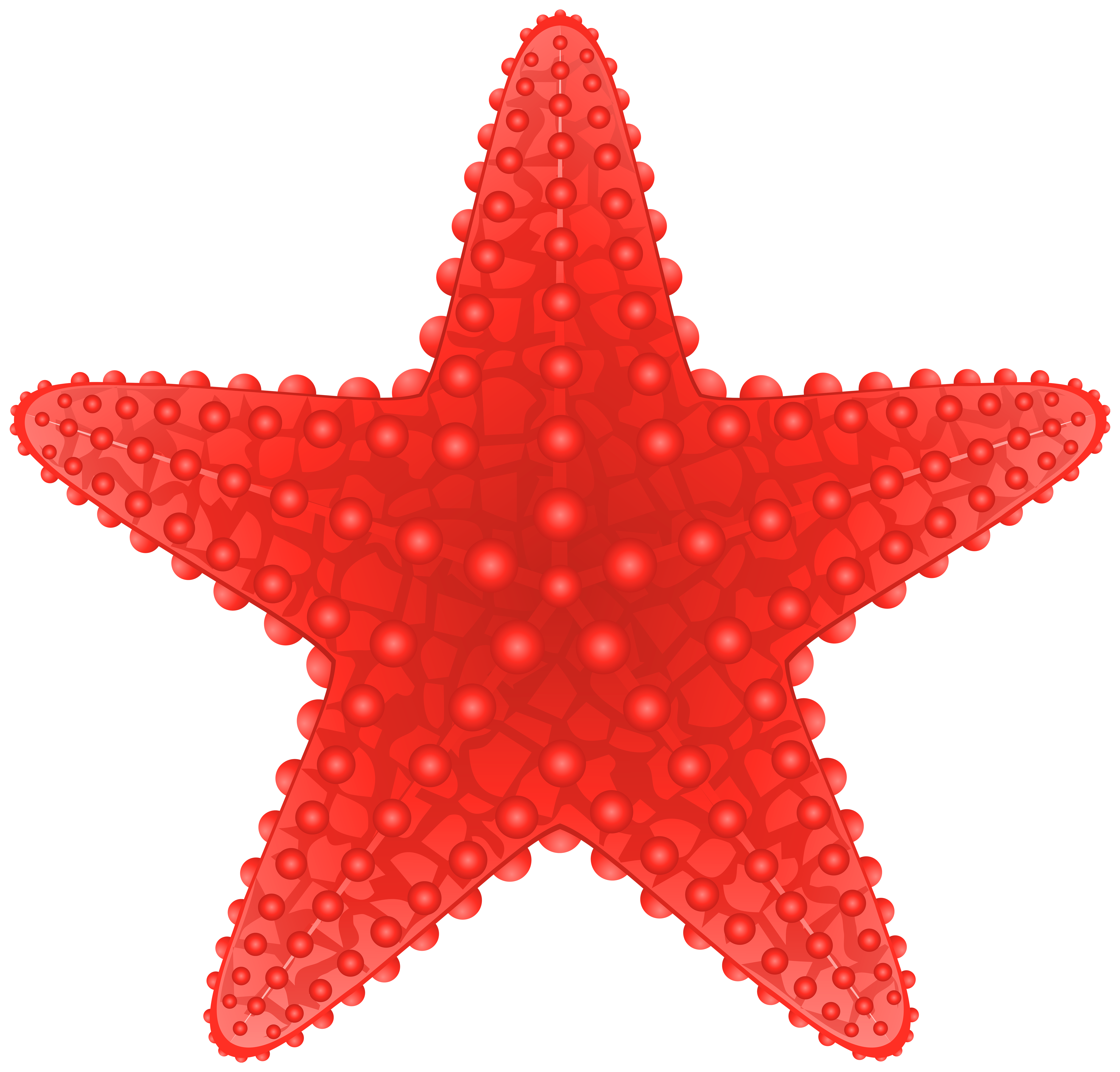 Starfish transparent clip art image