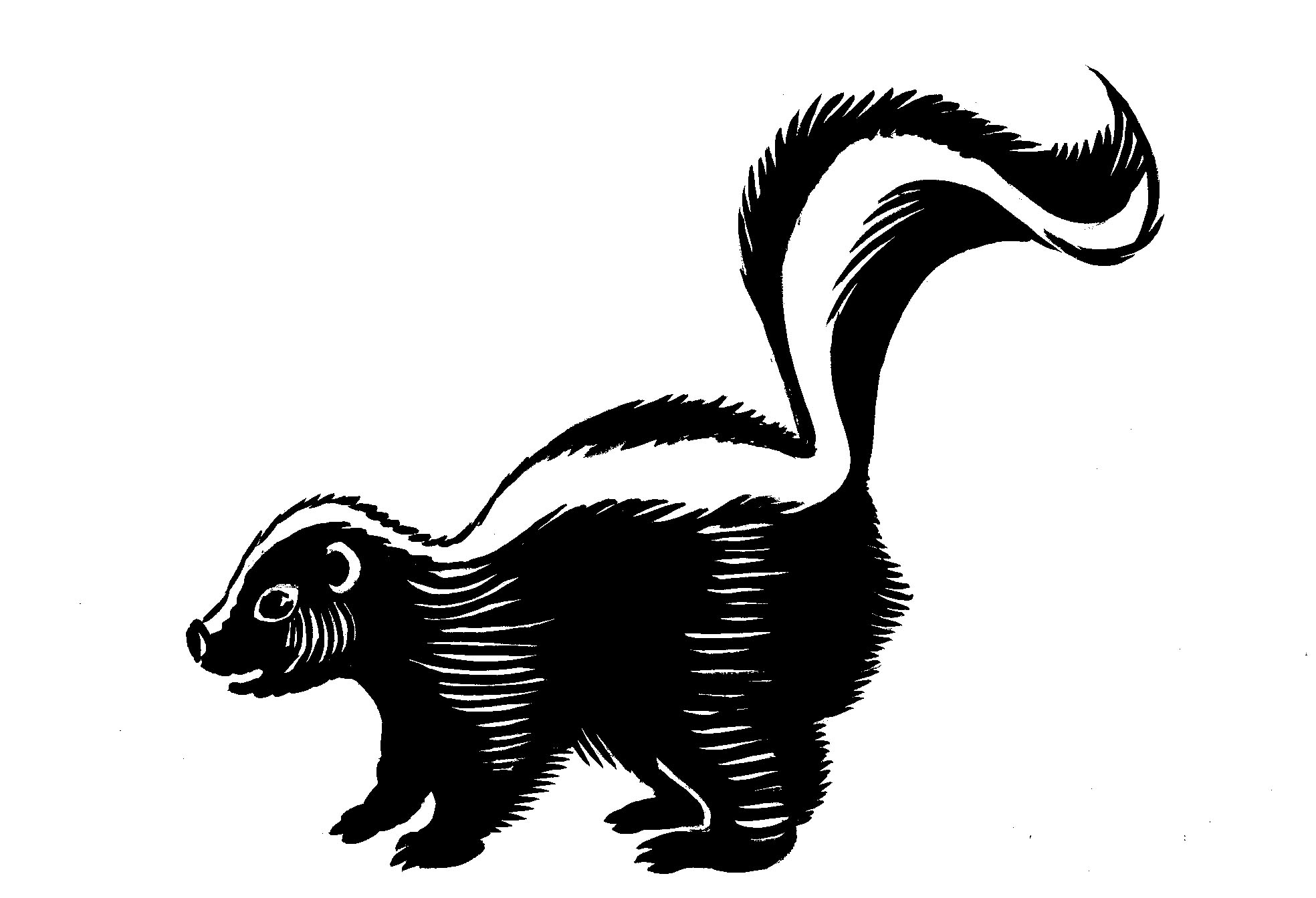 Stinky Skunk Cartoon Clipart  - Skunk Clipart