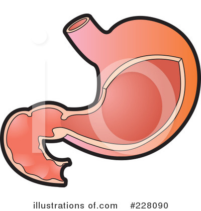 Stomach Clipart 228090 By Lal - Stomach Clipart