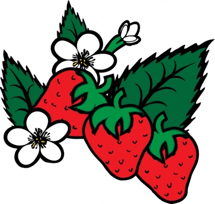Strawberry clip art clip art 