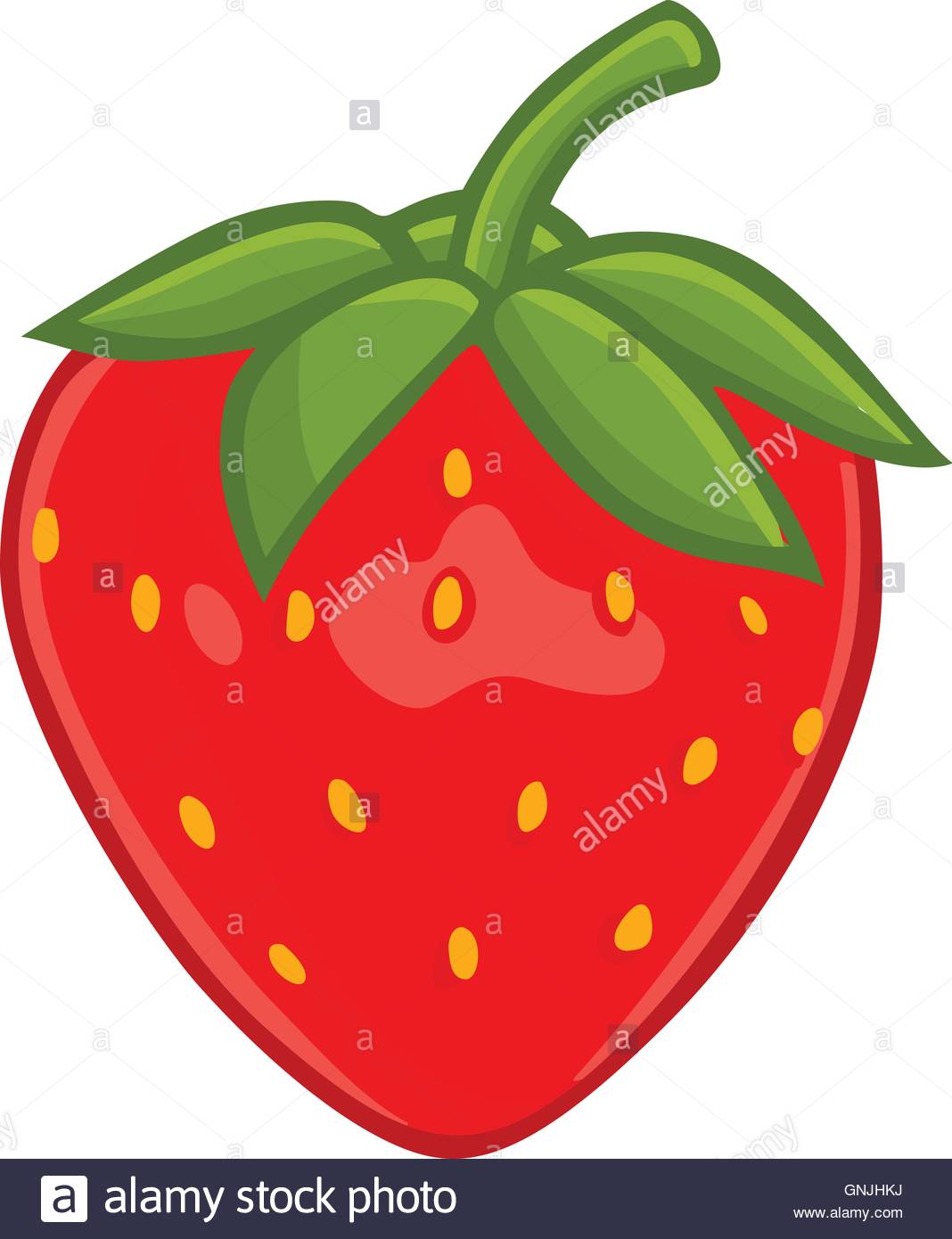 Fresh Strawberry Clipart Vector