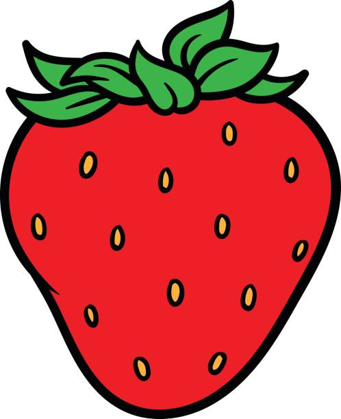 Strawberries; Fresh vector st