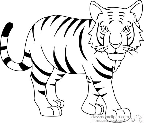 Stripped Bengal Tiger Black White Outline 914 Classroom Clipart