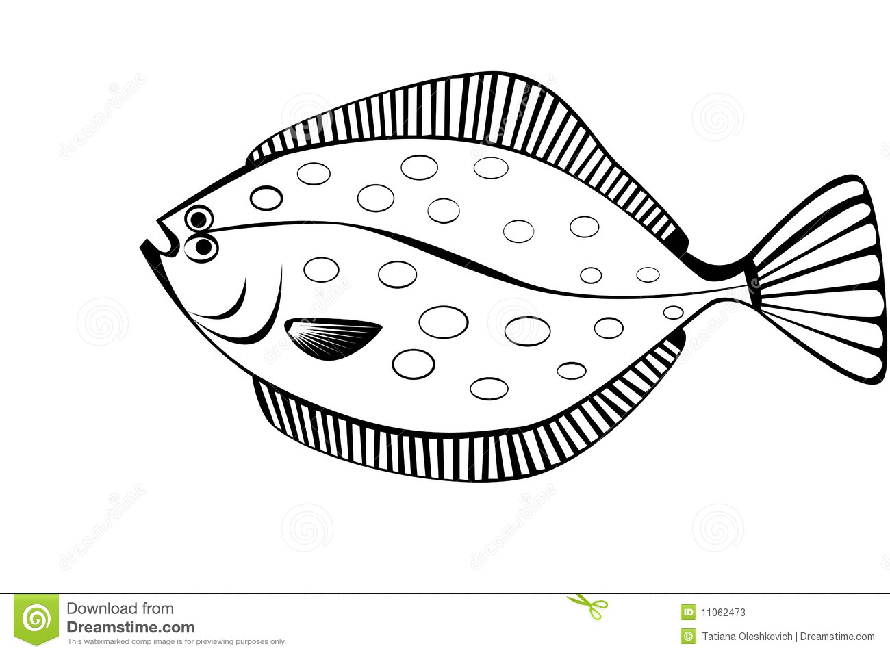 Stylish illustration of flounder isolate Stock Photos