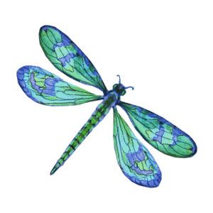 Stylized Dragonfly, Dragonfly Insect, Blue Dragonfly, Thing 300, Img Thing, Dragonflies