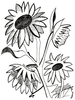 Sunflower black and white free sunflower clipart black and white