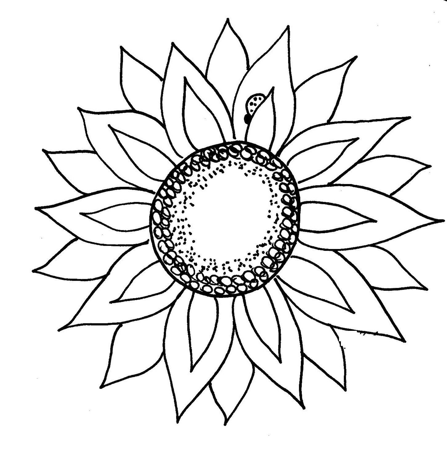 Sunflower Clip Art Black and White