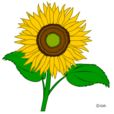 Sunflower clip art clipart fr - Sun Flower Clip Art