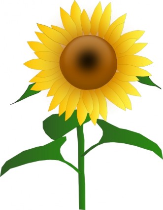 Sunflower Clip Art - Clipart Sunflower