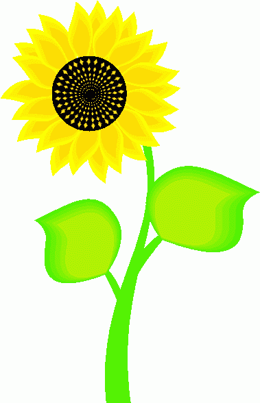Sunflower clip art free vecto