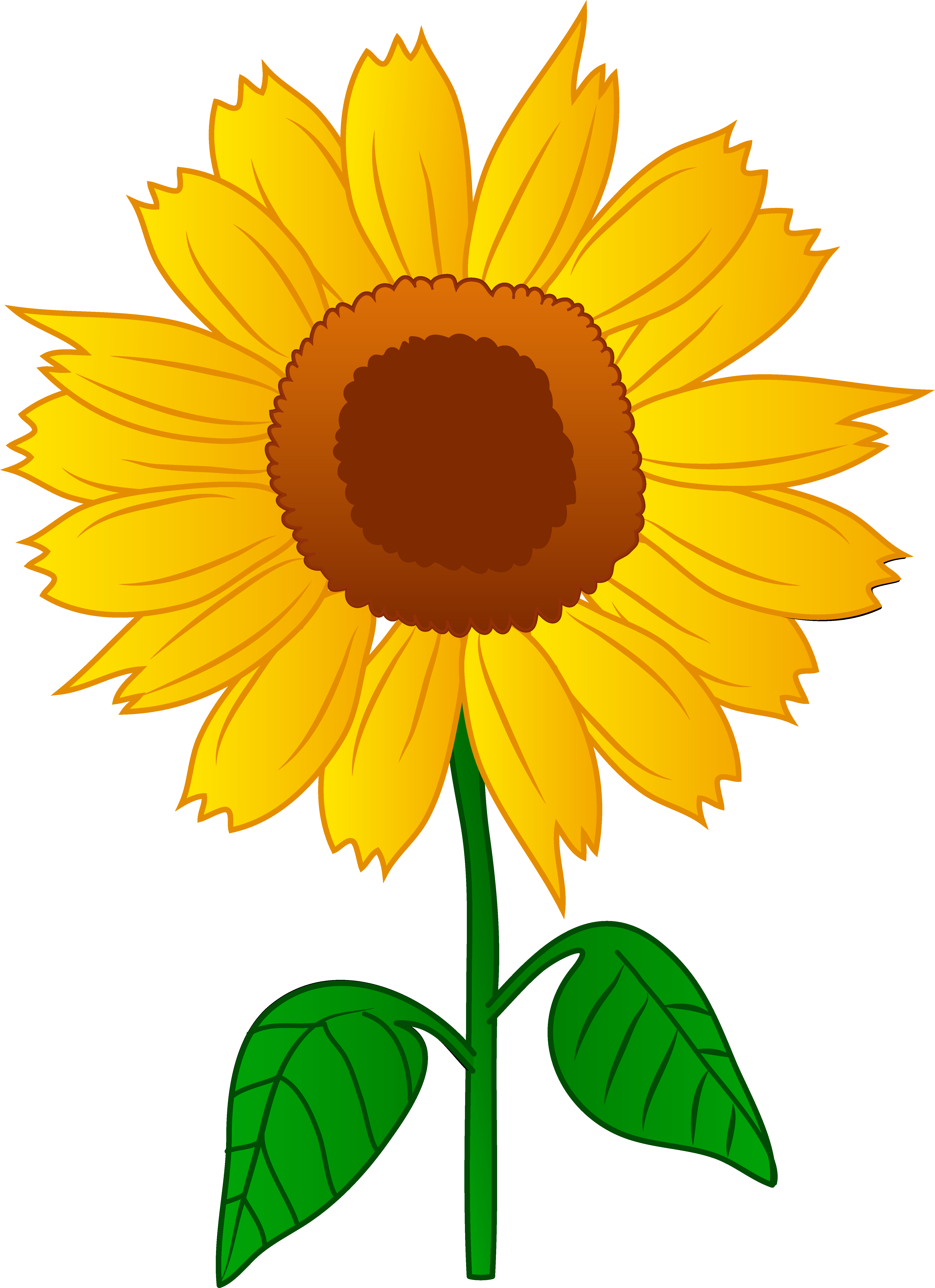 Sunflower clipart free clip a