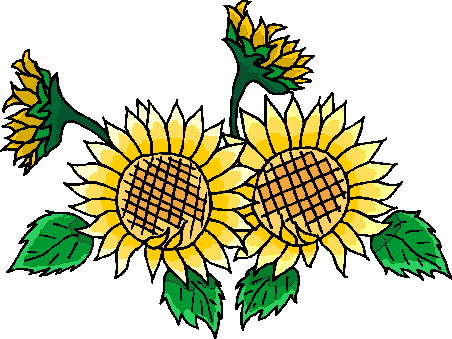 Sunflower Clip Art - Sunflower Clip Art Free