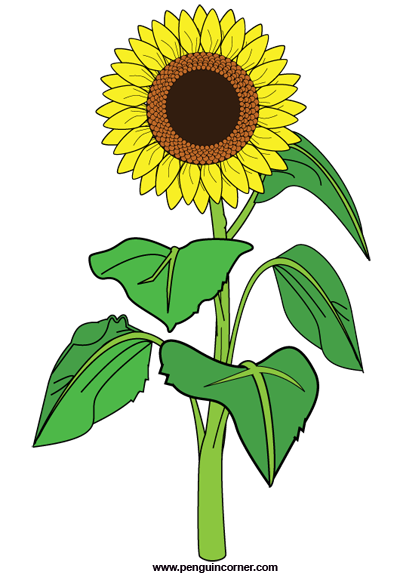 Sunflower clipart 1 - Clipart Sunflower