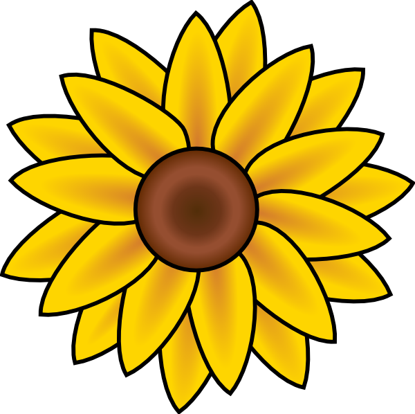 Sunflower clip art at vector 