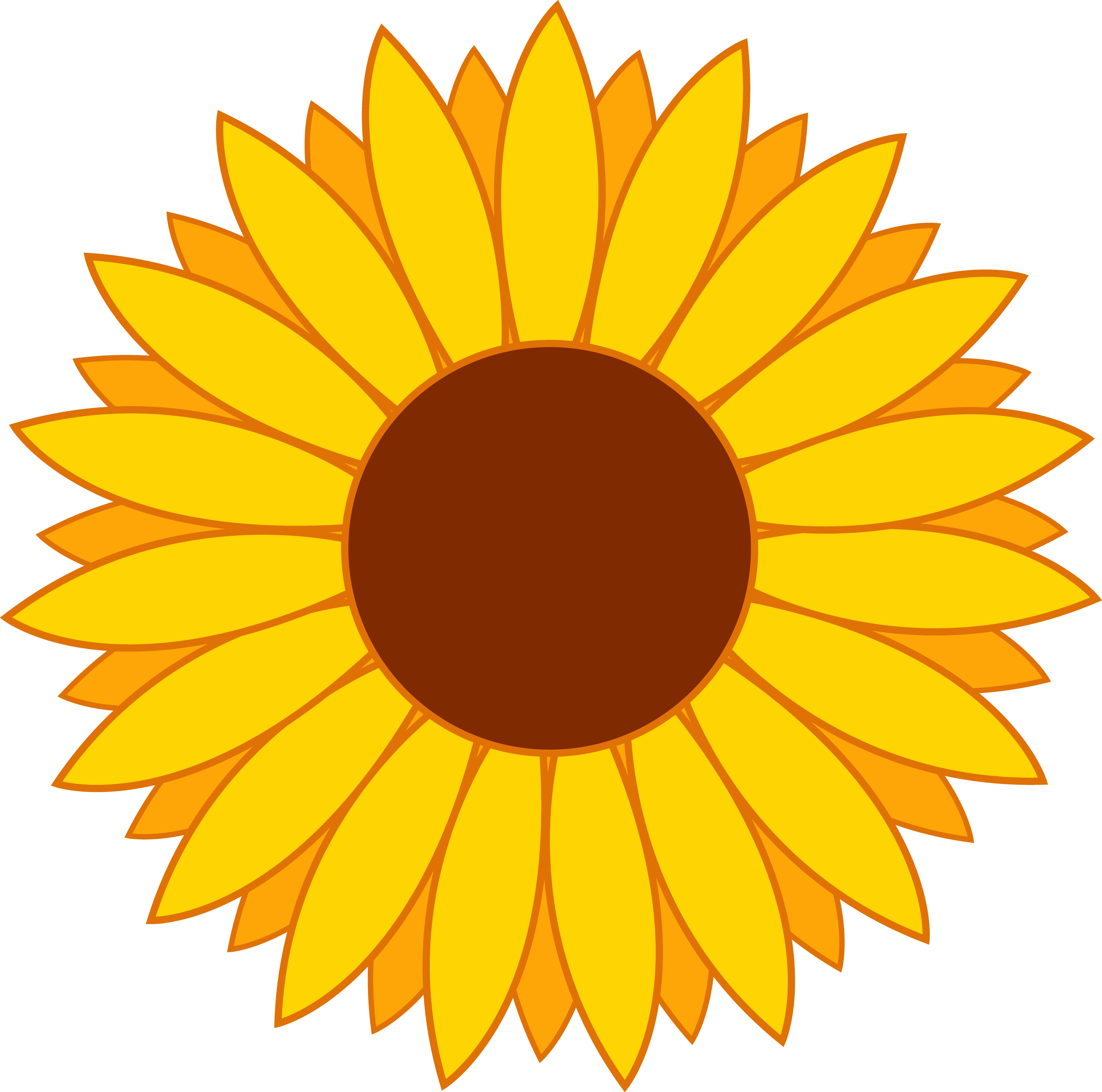 Sunflower clipart picture