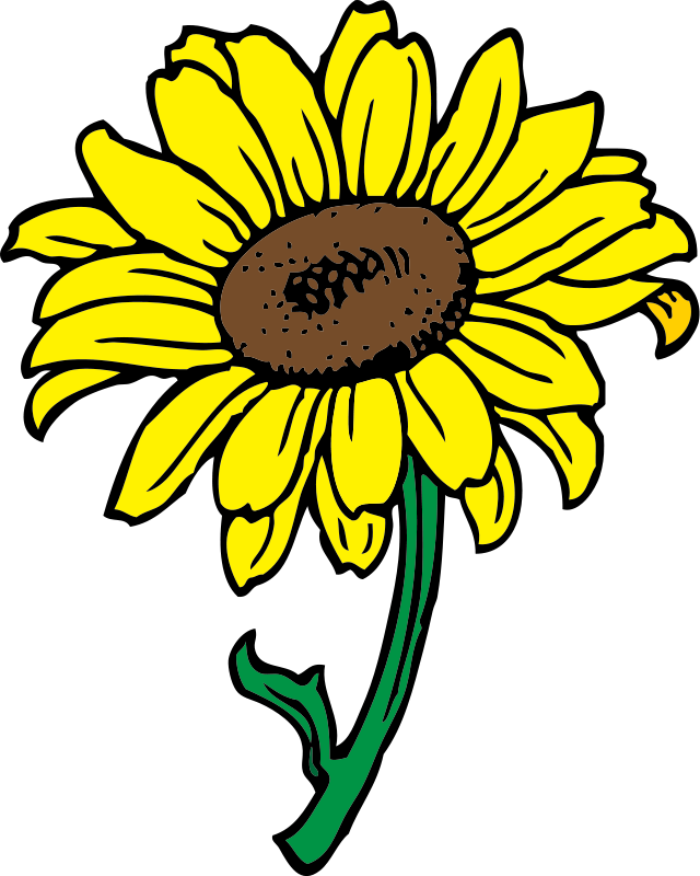 bouquet of flower outline clip art free | sunflower flower clipart png 137  17 kb sunflowers
