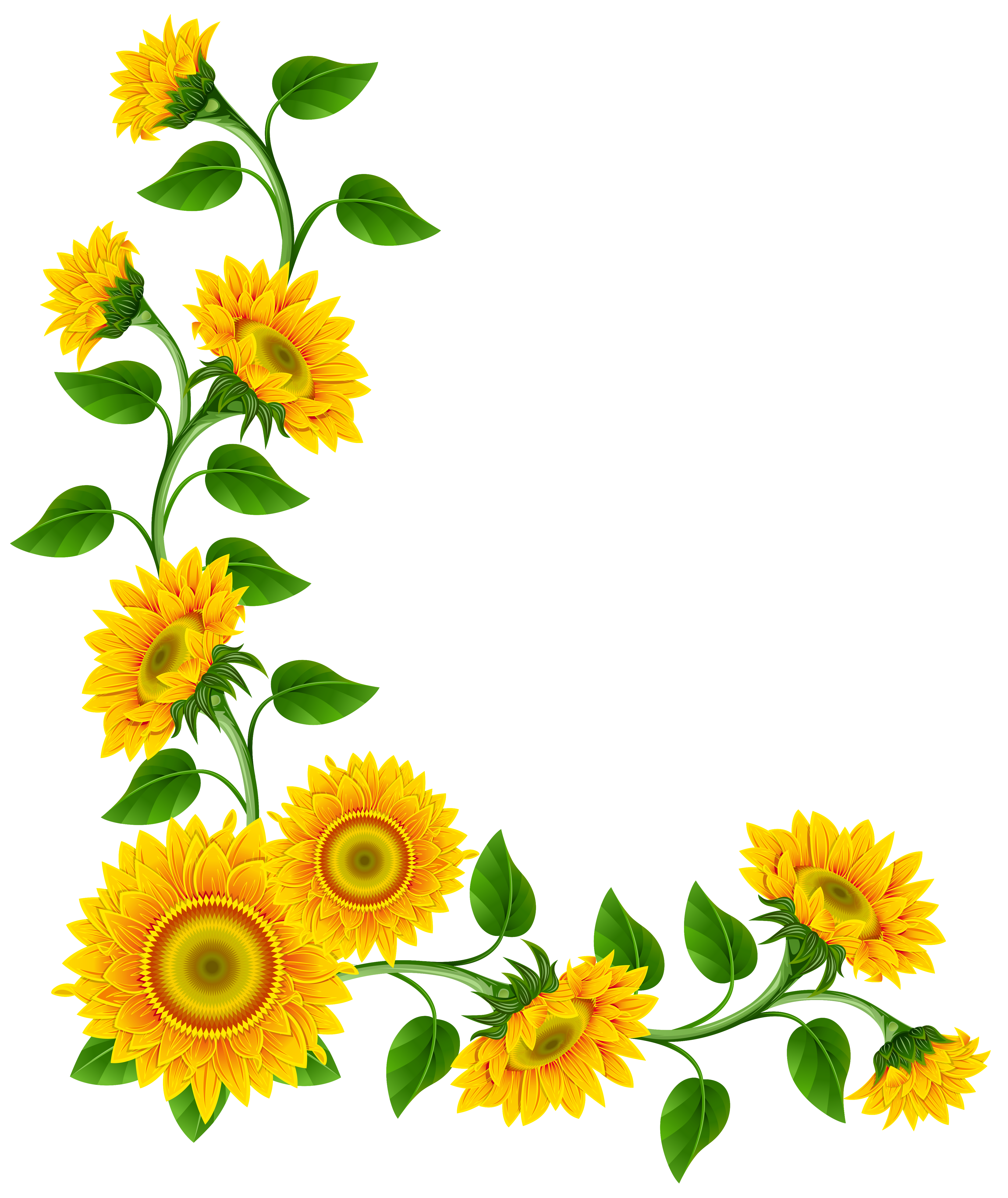 Flower Boarders, Sunflower Ar - Sunflowers Clipart