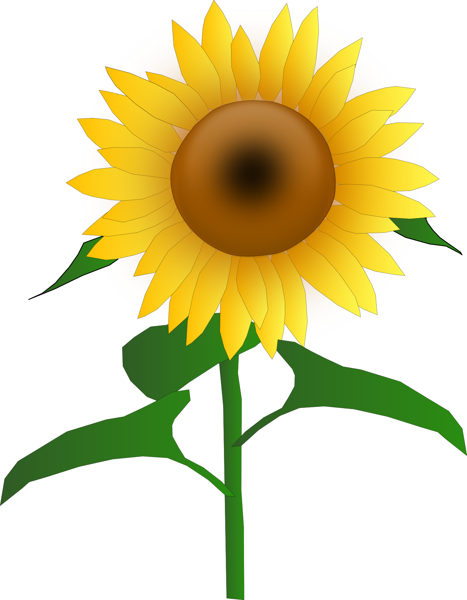 Sunflower PNG Clipart Picture