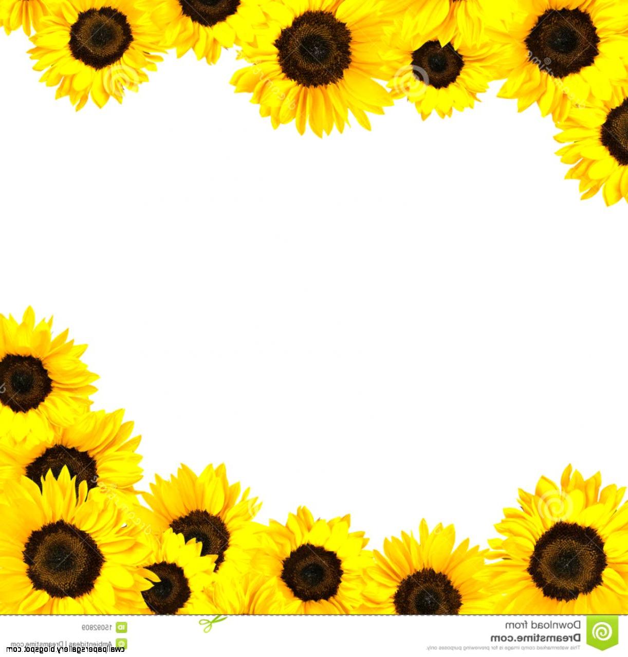 HD Sunflowers Clipart Border  - Sunflowers Clipart