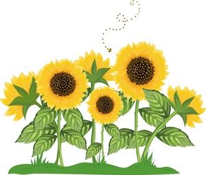 Sunflower Border Clip Art | S - Sunflowers Clipart