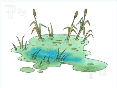 ... Swamp - Illustration of a