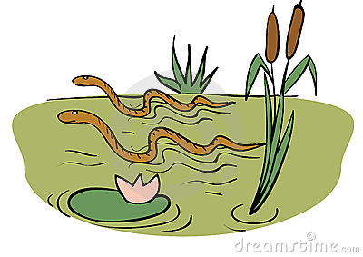 ... Swamp - Illustration of a