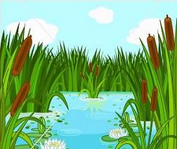 Swamp cliparts. Swamp Clipart
