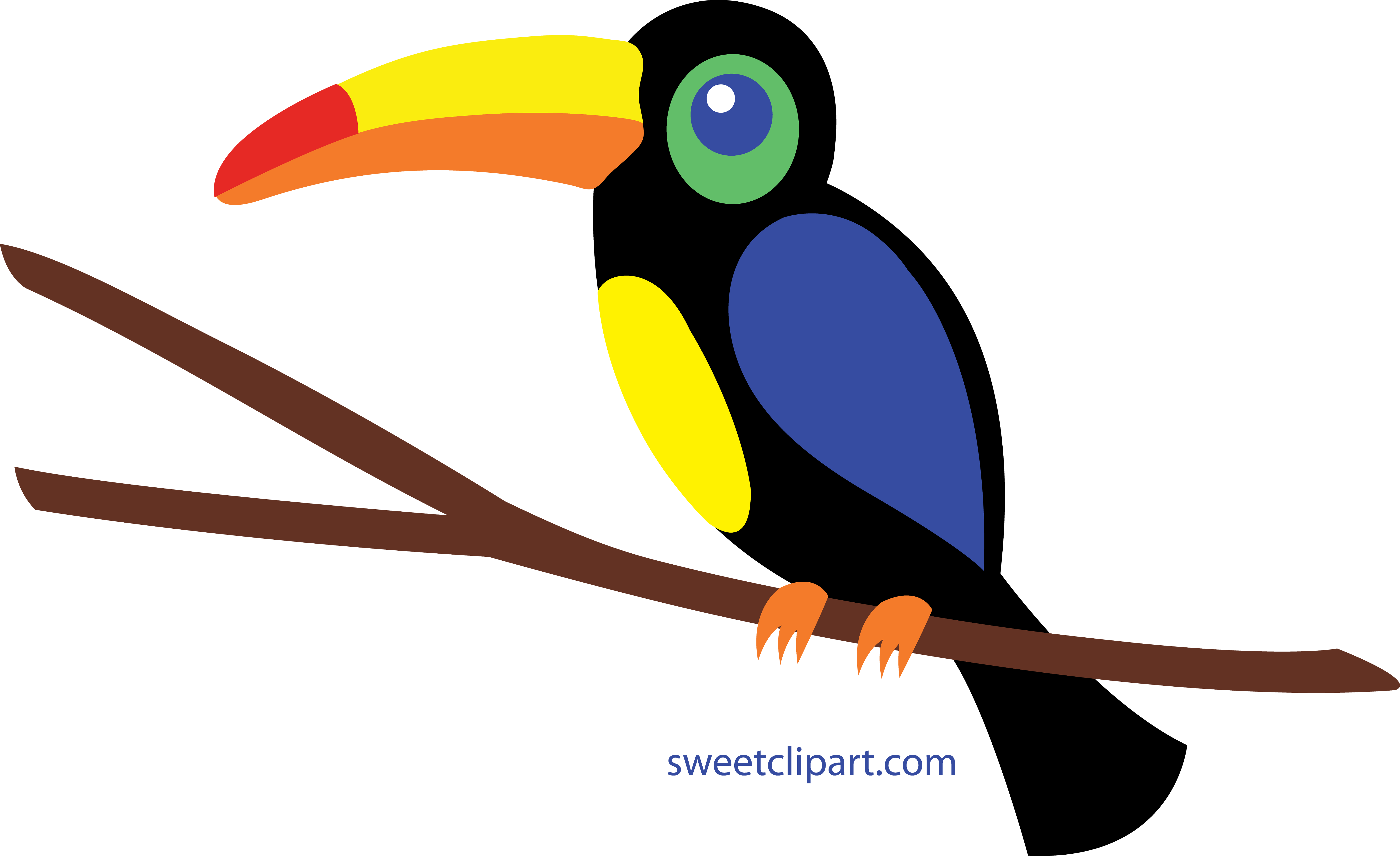 Toucan Clip Art - Sweet Clipart